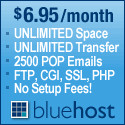 Advantages and disadvantages of VPS hosting - Bluehost VPS hosting