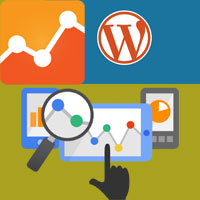 Setup Google Analytics on wordpress