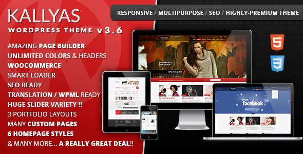 top selling professional wordpress themes