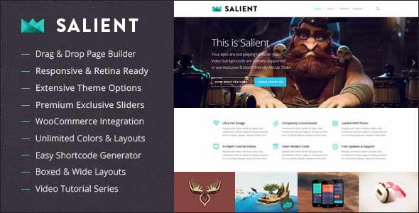 Salien, top selling wordpress theme